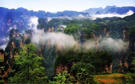 Zhangjiajie Tongfu inn, Wulingyuan, 中国