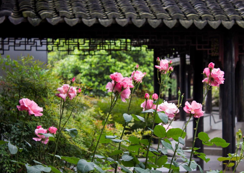 Suzhou Tongli Lake View Hotel, Songling, 中国
