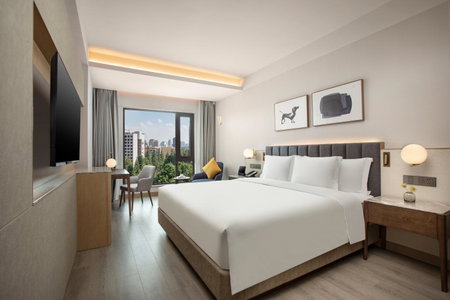 voco Nanjing Oriental Pearl by IHG, Nanjing, 中国