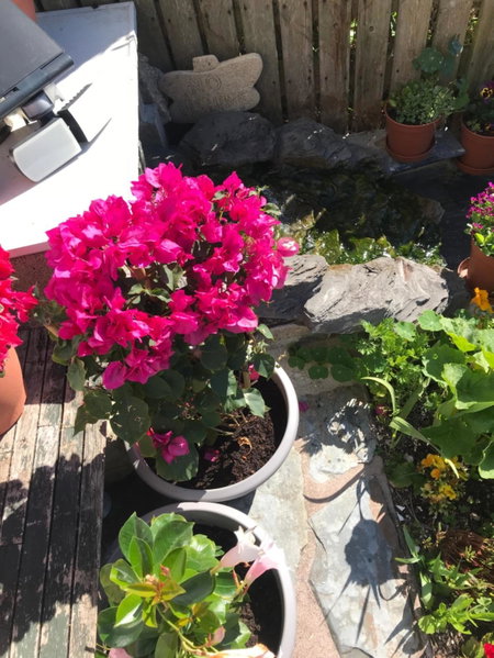 Poltair Guest House, Falmouth, United Kingdom