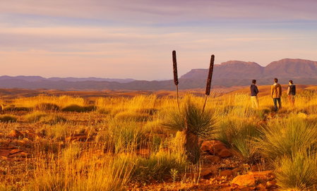 Skytrek Willow Springs Station, Flinders Ranges, Australia