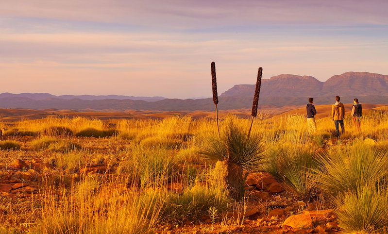 Skytrek Willow Springs Station, Flinders Ranges, Australia
