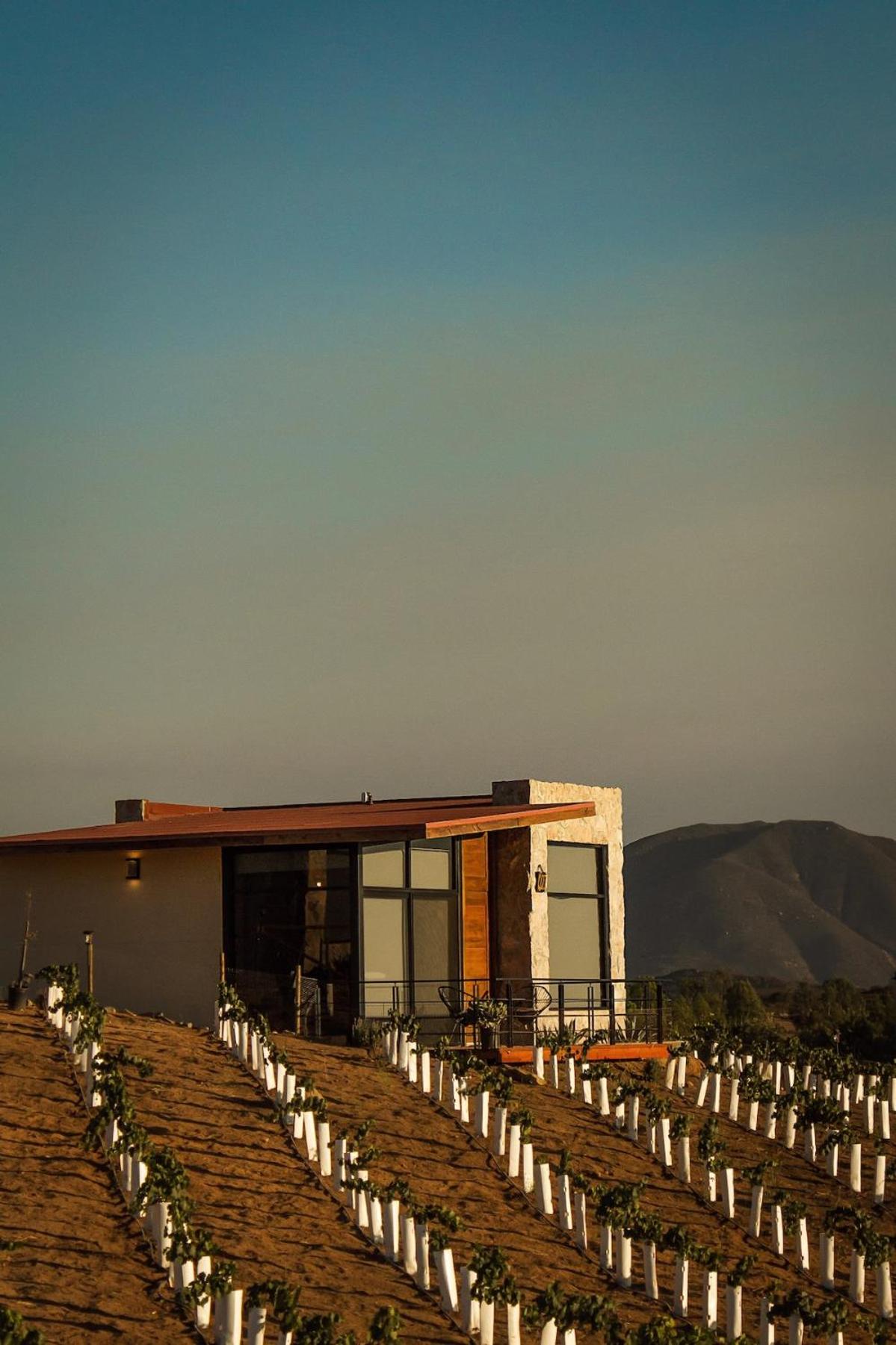 Hotel · Brisa Del Valle Hotel Boutique, Ensenada
