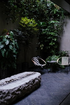 Colima 71 - Casa de Arte Hotel, Benito Juarez, Mexico
