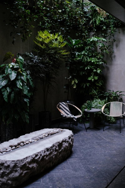 Colima 71 - Casa de Arte Hotel, Benito Juarez, Mexico