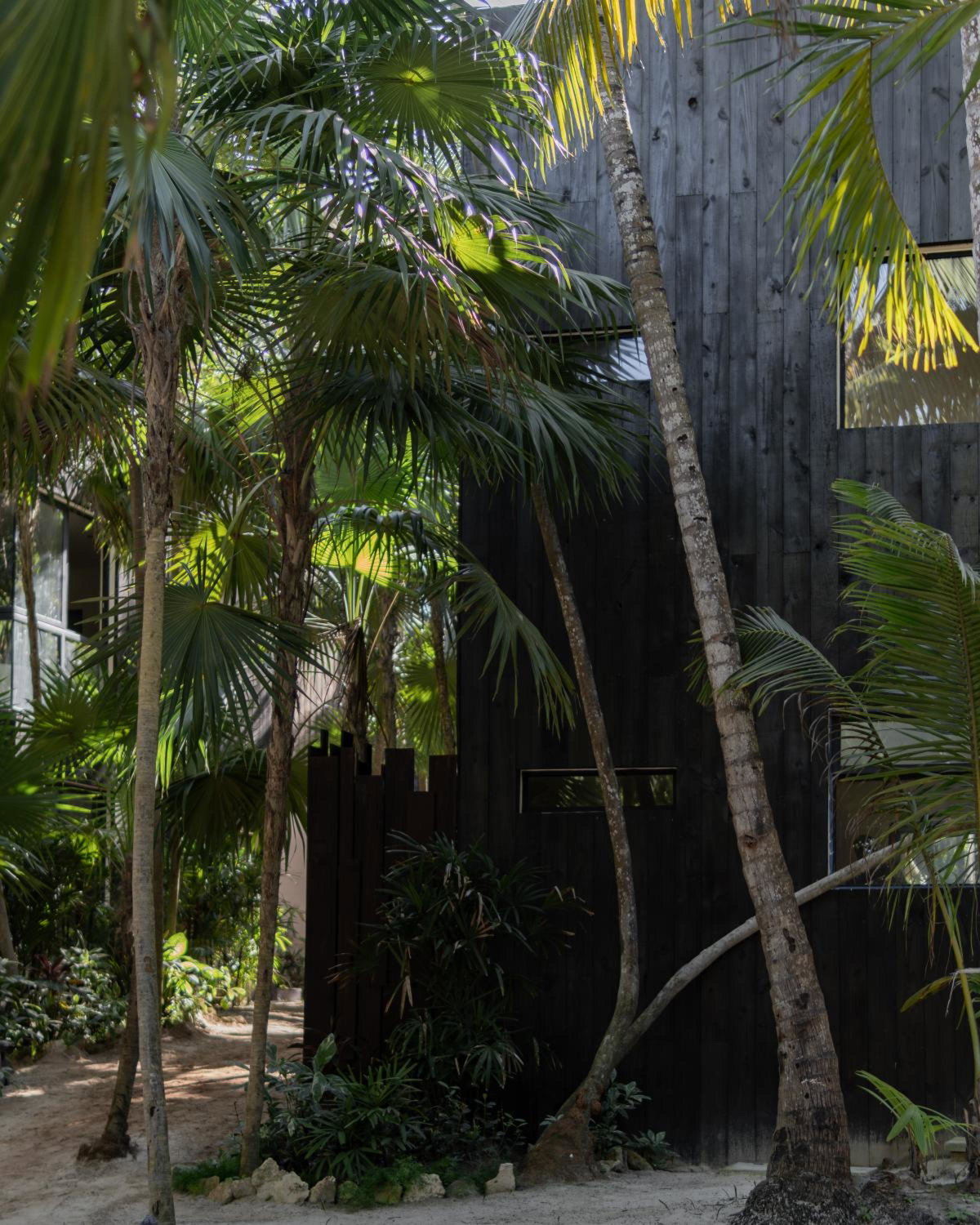 UMi Tulum, Mexico