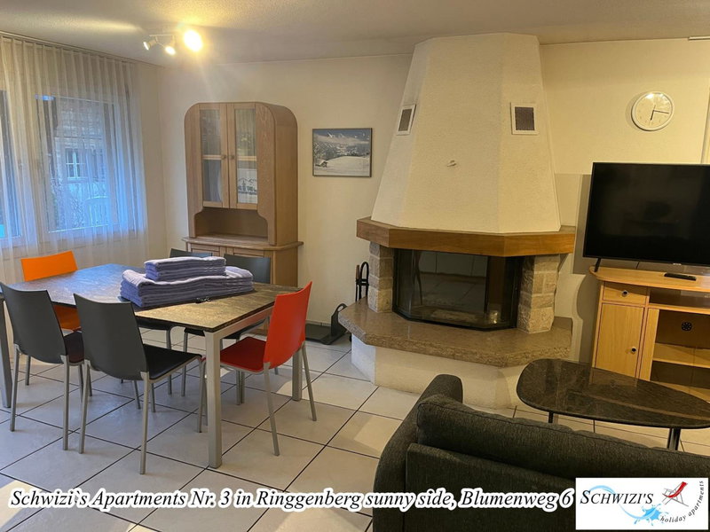 Schwizi's Apartments, Thun, Switzerland