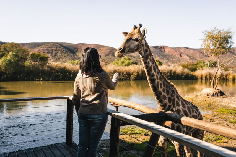 Feather Nest Guest House, Oudtshoorn, South Africa