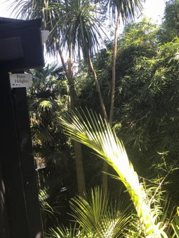 Palm Heights, Otara, Nouvelle-Zélande