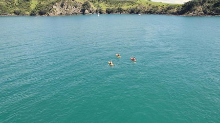 Waiheke Backpackers Hostel, Onetangi, New Zealand