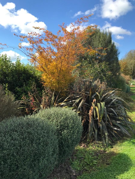 40 Winks, Otorohanga, New Zealand