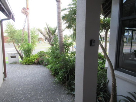 Palm Paradise with Spa, Tauranga, New Zealand