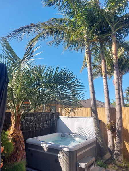 Palm Paradise with Spa, Tauranga, New Zealand