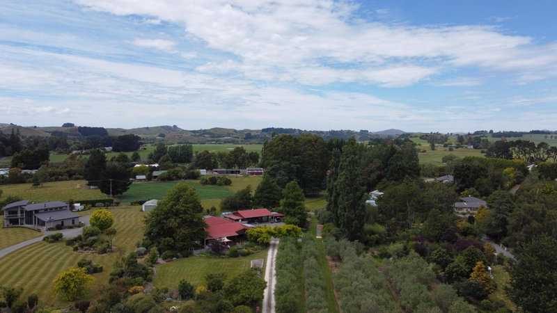Olivista, Masterton, New Zealand