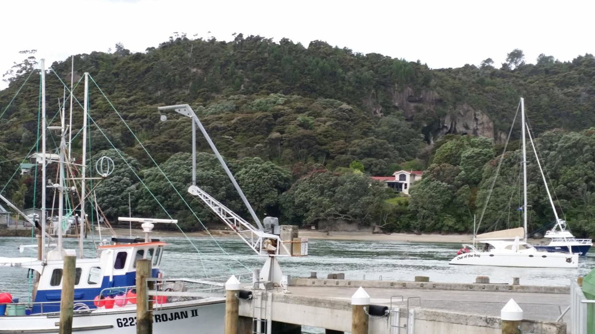 Hotel · Mooring Lane Lodge, Whitianga