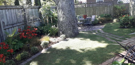 Studio, Quiet location, Central to city, Hamilton, New Zealand