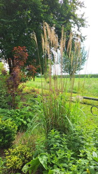 De Gaanderij bed and Breakfast, Groot IJsselmonde, Pays-Bas