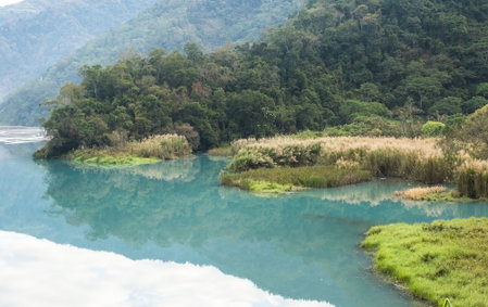 Azureloho, Puli, 台湾