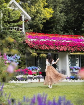 FlowerHome, Zhuolan, 台湾