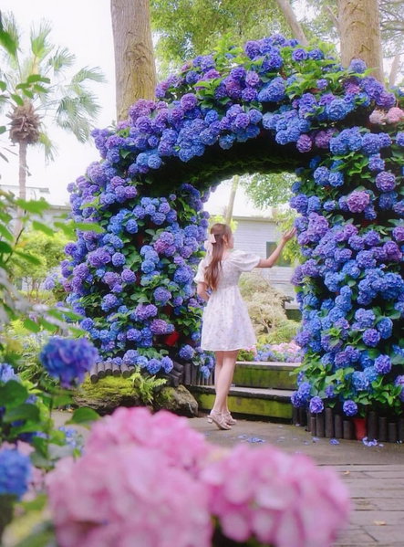 FlowerHome, Zhuolan, 台湾