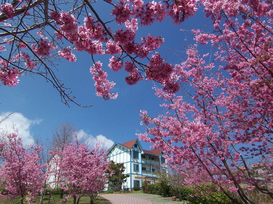 Baili Manor Cing Jing, Puli, 台湾