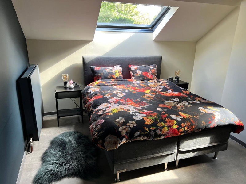Ikigai B&B, Oud-Turnhout, Belgium