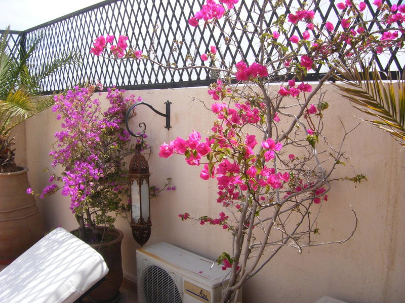 Riad Scarlett, Marrakesh, Morocco