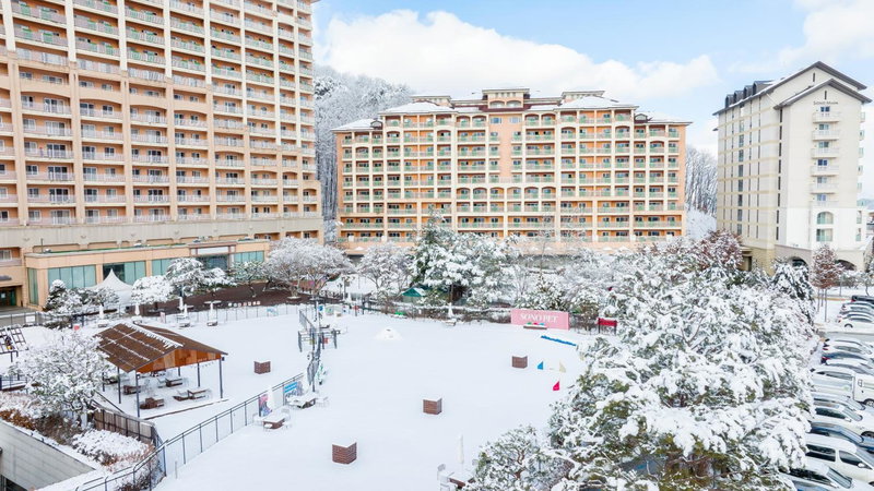 Sono Pet Clubs & Resorts VivaldiPark, Hongch'on, 대한민국