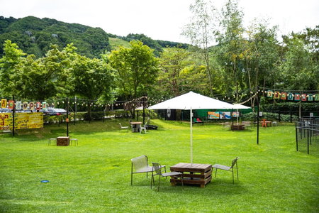Sono Pet Clubs & Resorts VivaldiPark, Hongch'on, 대한민국