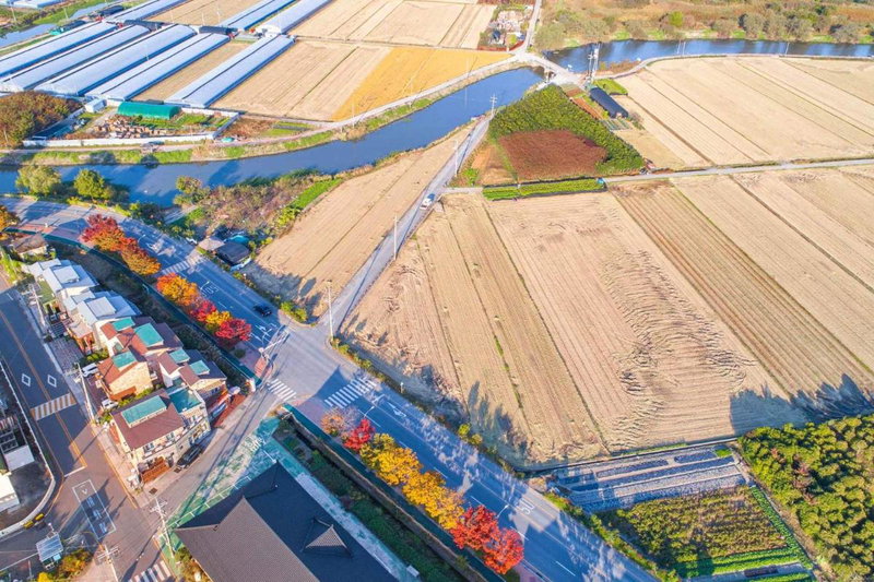 Four Seasons Pension, Suncheon, 대한민국