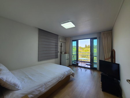 Hera Castle Pension, Seogwipo, 대한민국