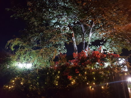 Hanok Story Guesthouse, Jeonju, 대한민국