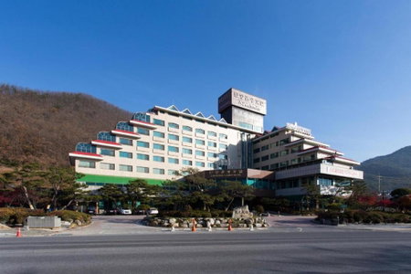 Danyang tourist hotel Edelweiss, Neietsu, 대한민국