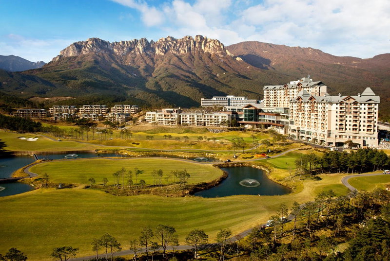 Delpino, Sokcho, 대한민국
