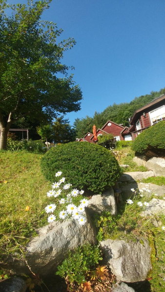 Sisilli Pension, Pyeongchang, 대한민국