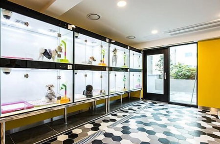 Sleep with Your Own Pet Only - The Petel, Gijang, 대한민국
