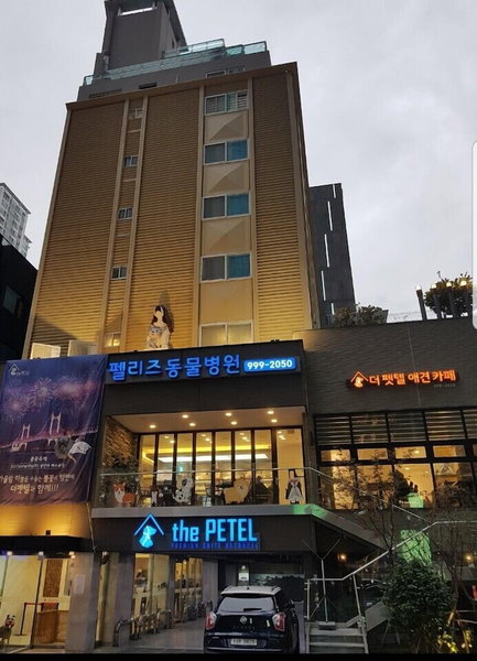 Sleep with Your Own Pet Only - The Petel, Gijang, 대한민국