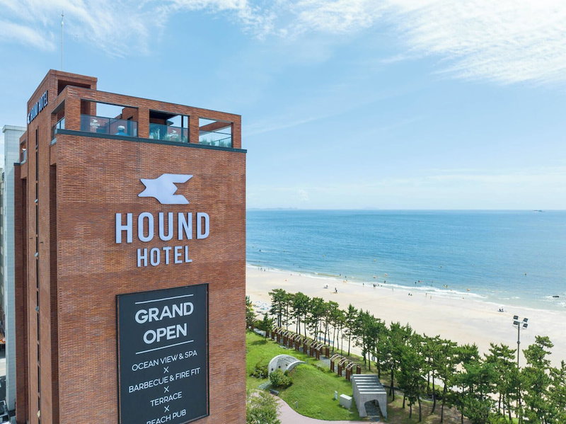 Hound Hotel Daecheon, Boryeong, 대한민국