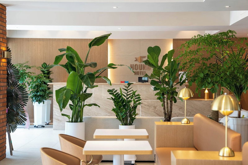 Hound Hotel Daecheon, Boryeong, 대한민국