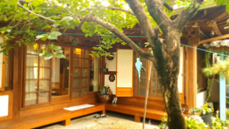 Hanok Moryeon, Jeonju, 대한민국
