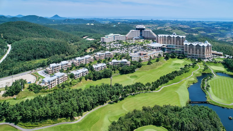 Del Pino, Sokcho, 대한민국