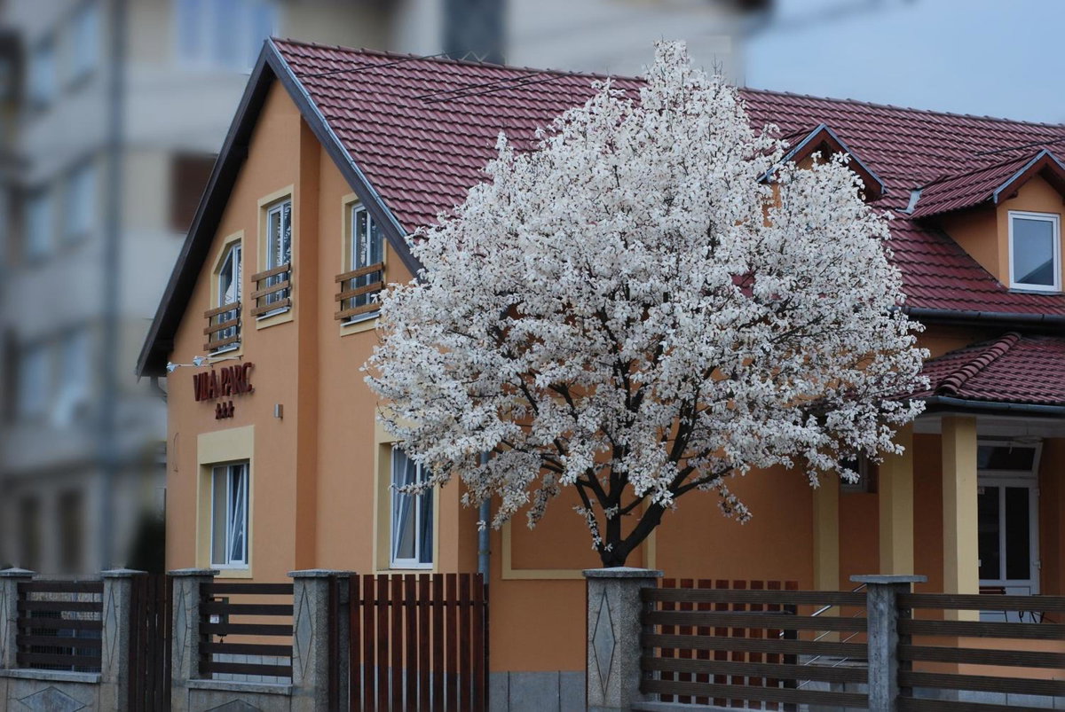 Hotel · Vila Parc, Cluj-Napoca