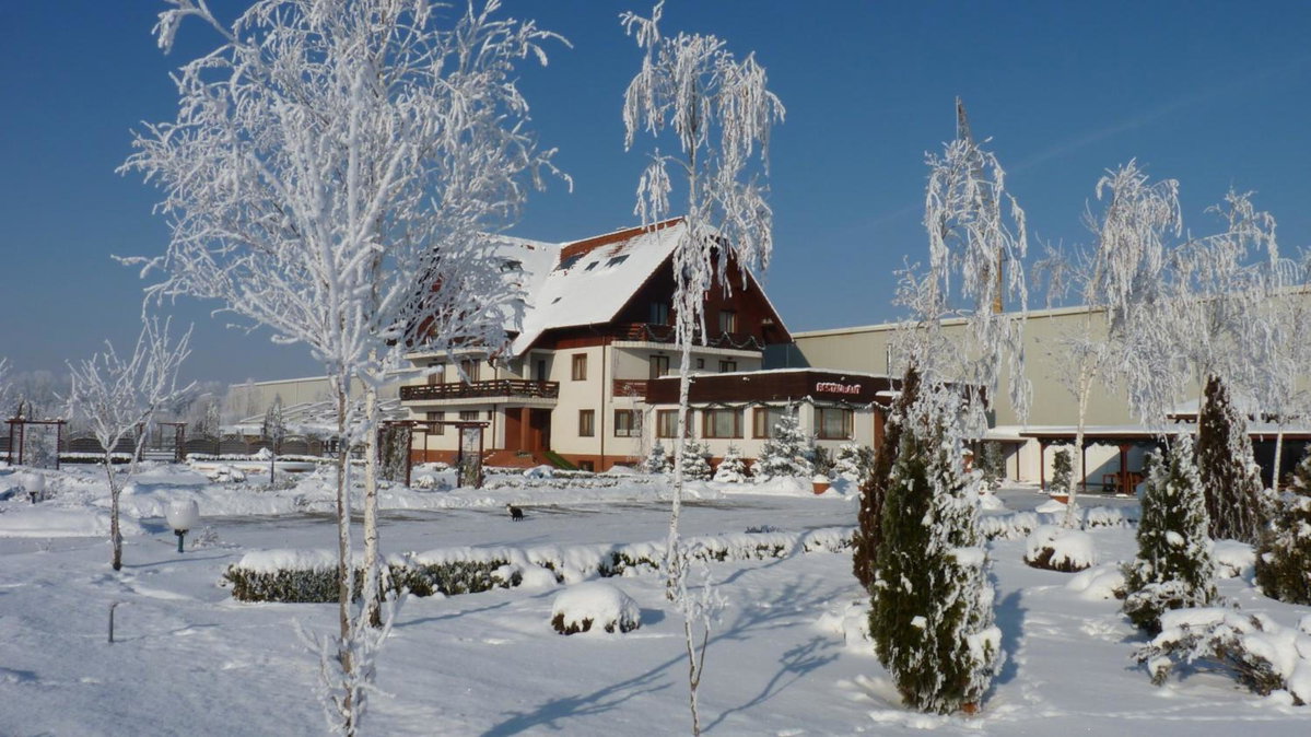 GARDEN Club - Hotel & Restaurant - FREE Outdoor Pool & Parking, Romania