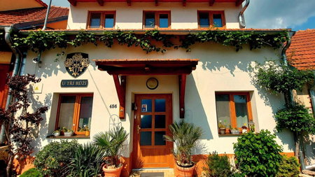 Penzion U TŘÍ RŮŽÍ - Adults Only, Breclav, República Checa