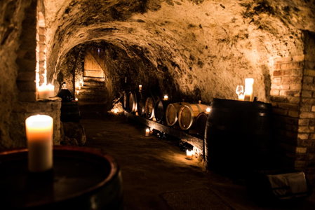 Penzion U TŘÍ RŮŽÍ - Adults Only, Breclav, República Checa