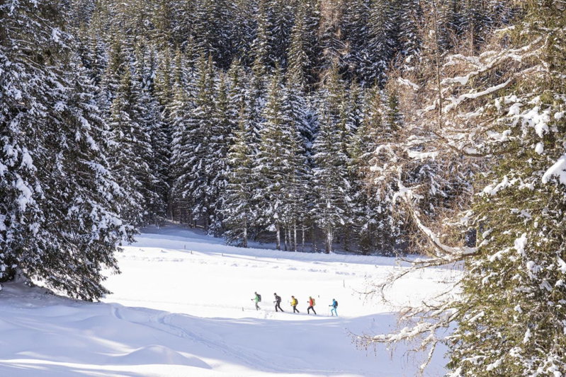 Wildkogel Resorts - DAS Neukirchen, Neukirchen am Großvenediger, Austria