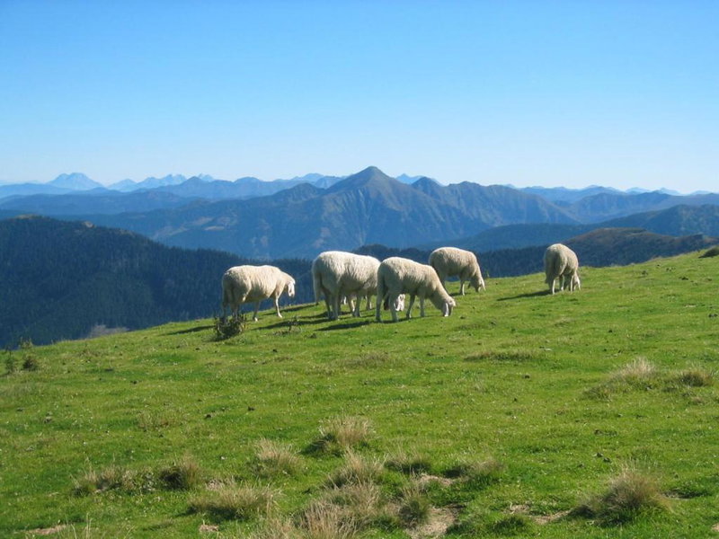 Haus Bodenwinkler, Gröbming, Austria