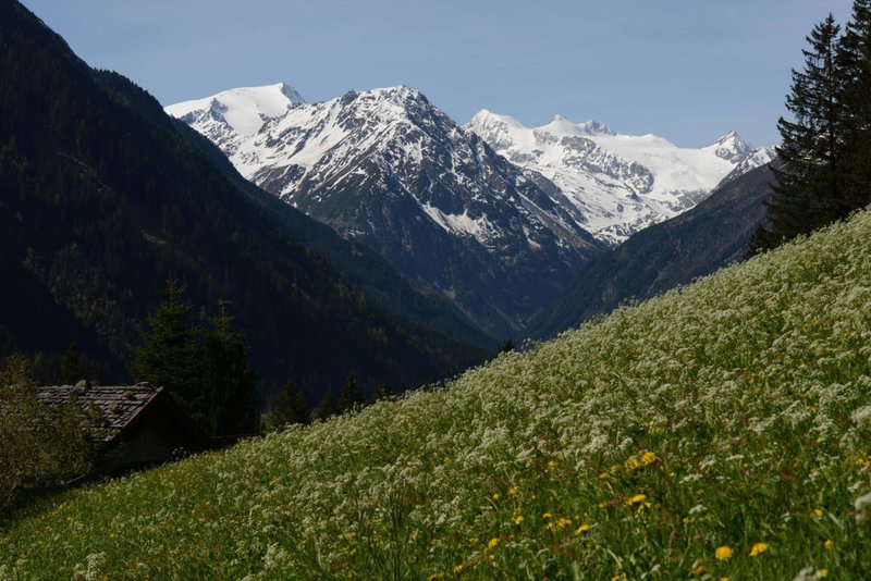 Pension Tina, Wilten, Austria