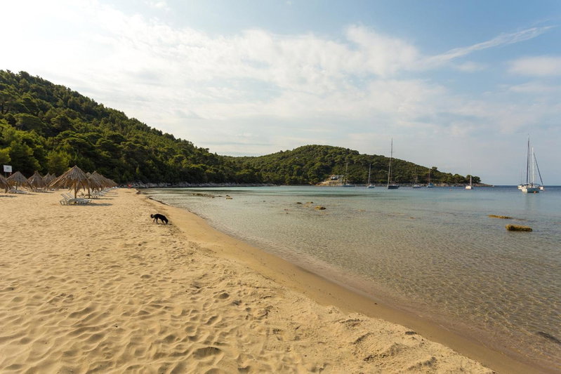 Pine Tree Boutique Apartments, Saplunara, Croatia