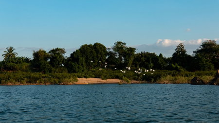 Mekong Bird Resort, Stung Treng, Cambodia